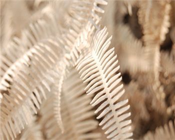 空氣改善需要靠污染源才能進(jìn)行轉(zhuǎn)移，這個(gè)真不能這樣下結(jié)論