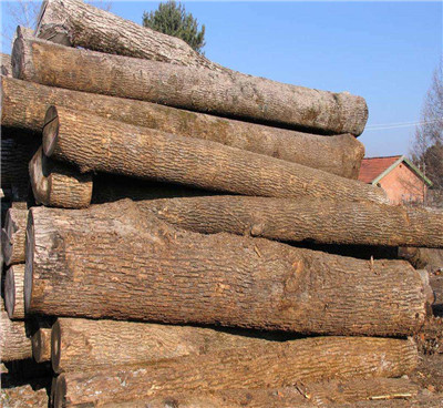 怎么樣才能打造出精致的木制托盤，以下這些是重點(diǎn)